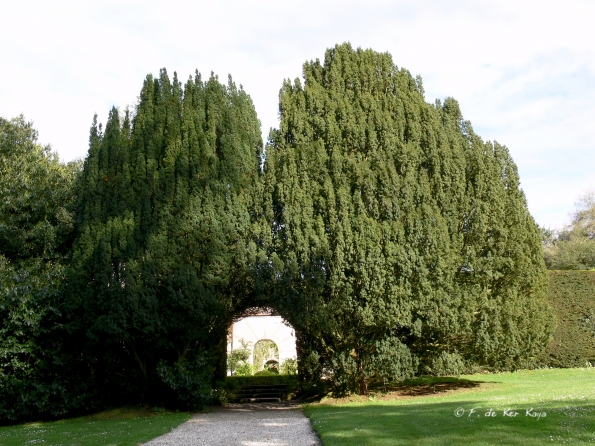 Bois des Moutiers (109) mai 2012
